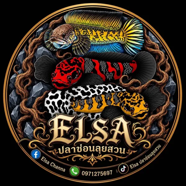 ELSA