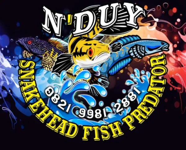 Nduy Snakehead
